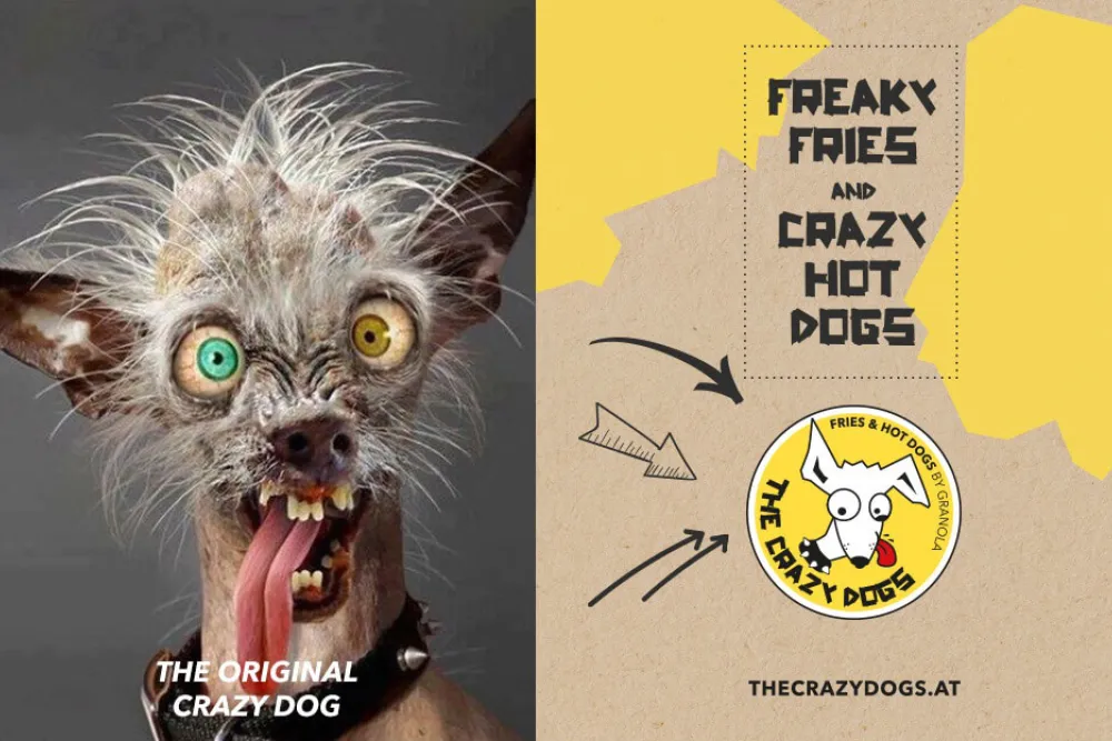 The-Crazy-Dogs-Logo.jpg